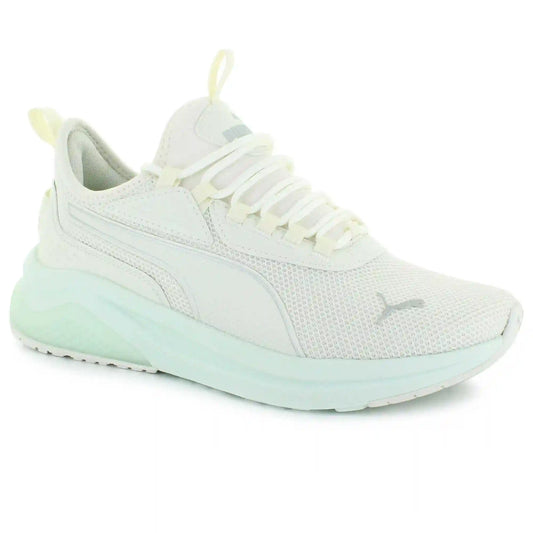 PUMA Amplifier