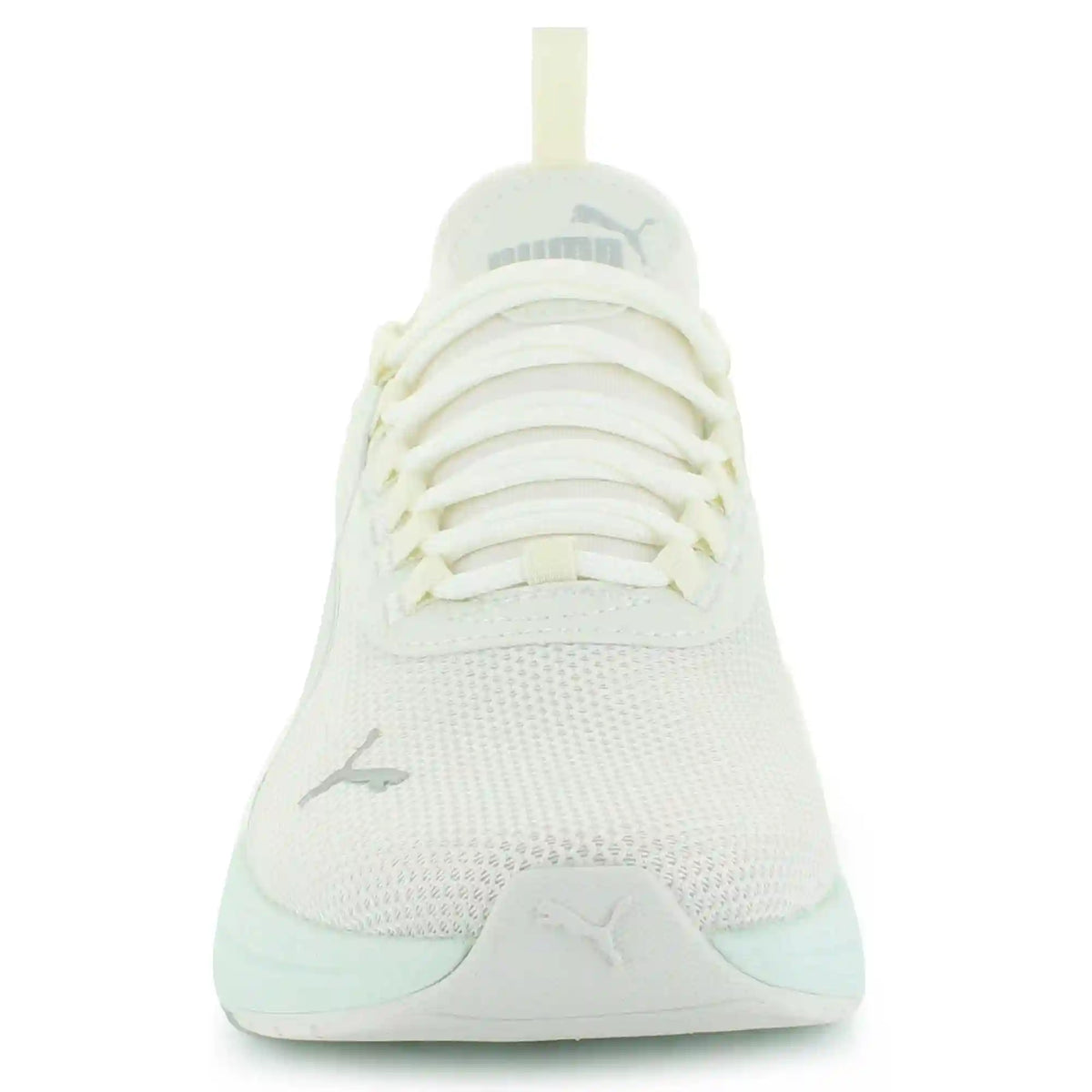 PUMA Amplifier