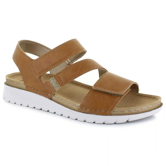 Oak Club CN250500
