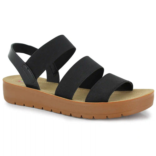 Palms Alannah Stretch
