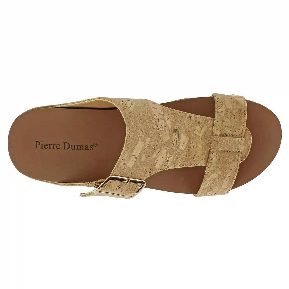 Pierre Dumas Slide