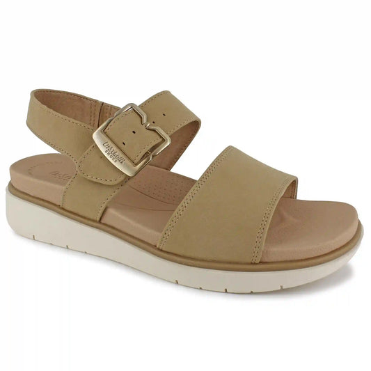 Dr. Scholl's Posie